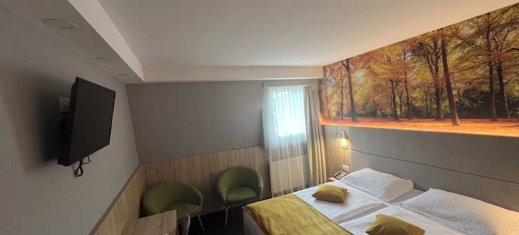 阿尔皮纳酒店(Hotel Alpina)图片