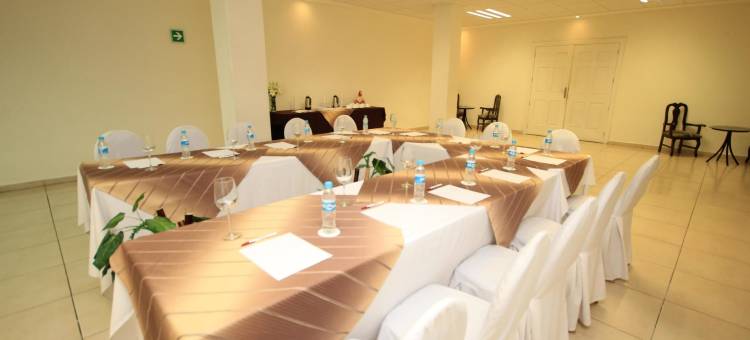 萨卡特卡斯米西翁阿根托酒店(Hotel Misión Argento Zacatecas)图片