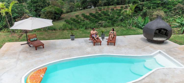 巴杜旅馆(Badu Lodge)图片