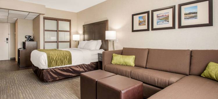 红鹿舒适套房酒店(Comfort Inn & Suites)图片