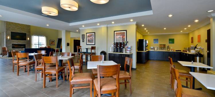 舒适套房酒店-近韦斯特彻斯8号环城路(Comfort Suites near Westchase on Beltway 8)图片