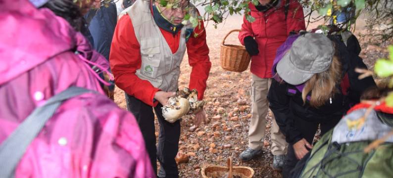 艾纳米拉孟多乡村住宿青年旅舍 - 乡村青年旅舍(Miralmundo Alojamientos Rurales Ayna - Hostal Rural)图片