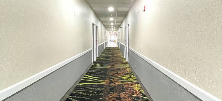 安德森呗盟套房酒店(Baymont by Wyndham Anderson)图片