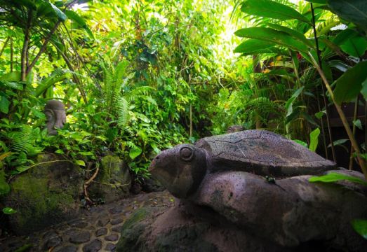 Rohotu Fare Hotel Overview