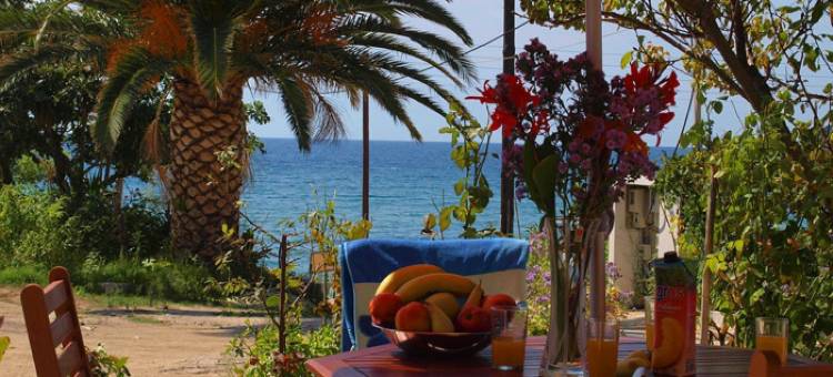 维斯托尼亚酒店(Vistonia)图片