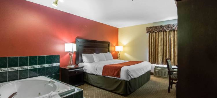 舒适套房酒店南机场店(Comfort Inn & Suites Airport South)图片