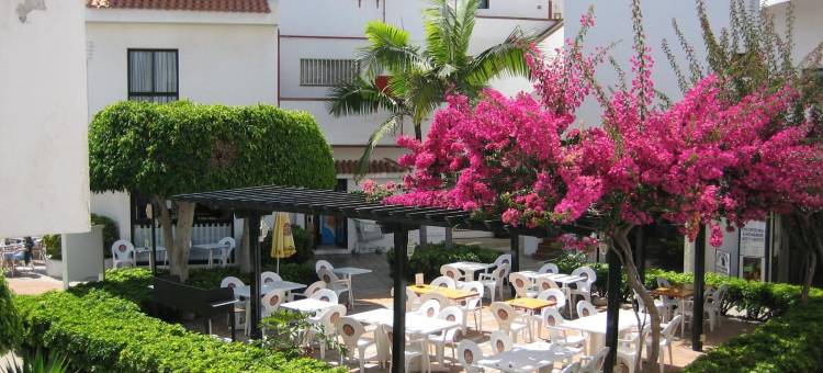 克里斯蒂安苏尔公寓酒店(Apartamentos HG Cristian Sur)图片