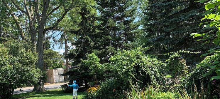 约克屋(The York House)图片