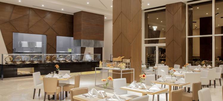 克里斯塔阿马肯酒店(Cristal Amaken Hotel Riyadh)图片