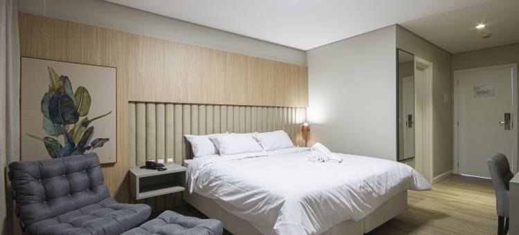 Criciúma达洛特酒店(Hotel Darolt Criciúma)图片