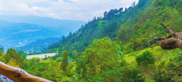 乔阿奇植物保护区(Reserva Botánica Choachí)图片