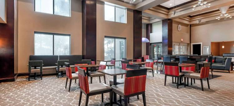 塔瓦雷斯北舒适套房酒店(Comfort Inn & Suites Tavares North)图片