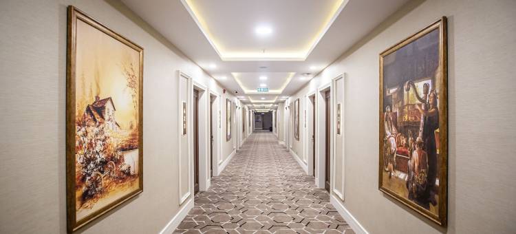 温德姆华美达广场-伊斯坦布尔苏丹艾哈迈德(Ramada Plaza by Wyndham Istanbul Sultanahmet)图片