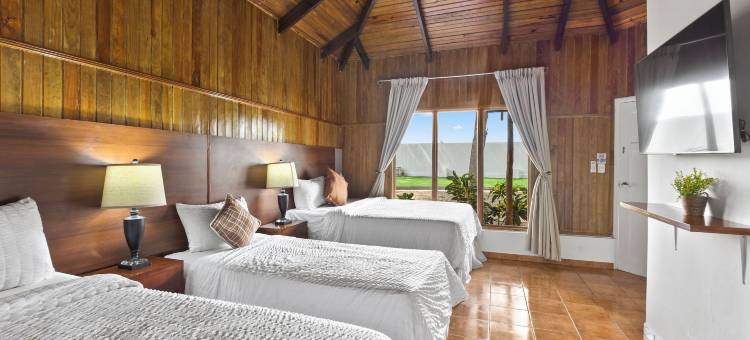 H4酒店(Hotel H4)图片