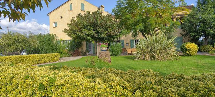 奥利威尔斯旅馆(Auberge les Oliviers)图片