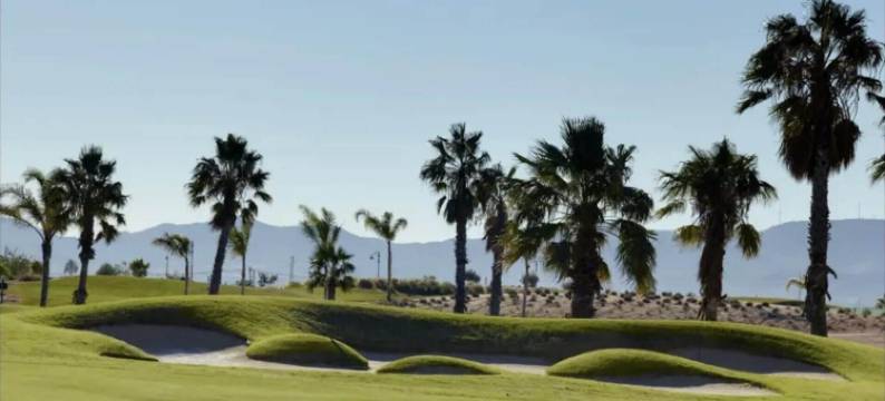 3卧别墅/马尔梅诺高尔夫球场/温水泳池/露台(3 Bed Villa Mar Menor Golf Heated Pool Terrace)图片