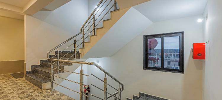 Treebo 奥斯卡(Treebo Oscar)图片