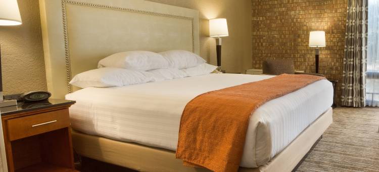 奥斯汀北德鲁里套房酒店(Drury Inn & Suites Austin North)图片