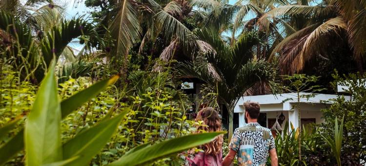 皇家孔雀之家精品酒店(Casa del Pavo Real Boutique Hotel)图片