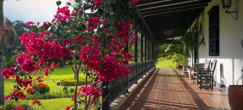 超级咖啡厅牧场酒店(Hotel Hacienda Supracafe)图片