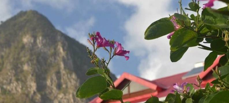 泰德瑞什度假公寓(Tet Rouge Resort)图片