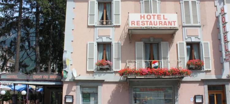 拉登杜米迪酒店(La Dent-Du-Midi Hôtel & Restaurant)图片