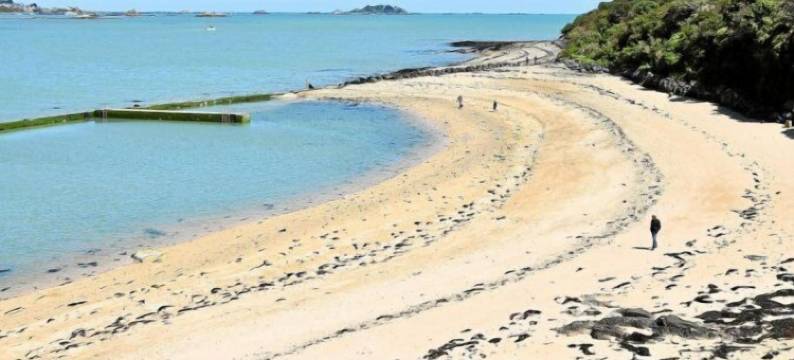 普莱特格阿斯酒店(Hôtel Le Goas Plat)图片