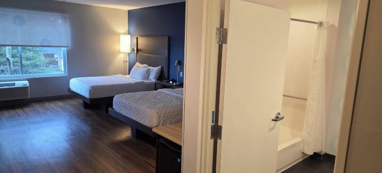 印地安那州埃尔克哈特希尔顿特鲁酒店(Tru by Hilton Elkhart)图片