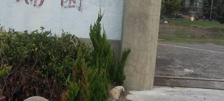 彰化端园民宿图片