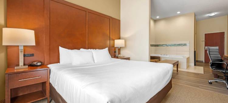 南本德 附近舒适套房酒店(Comfort Suites South Bend Near Casino)图片