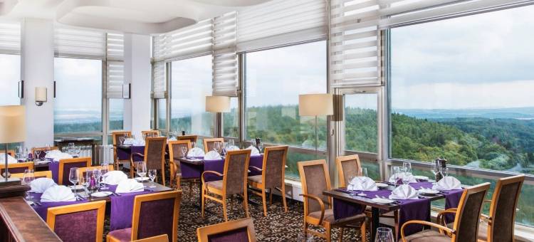 阿霍恩腓特烈罗达华伯格酒店(Ahorn Berghotel Friedrichroda)图片