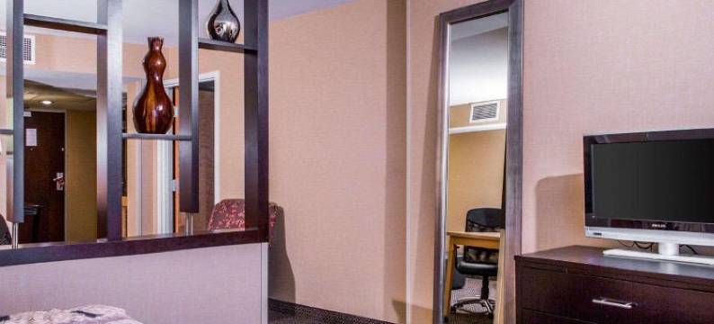 阿普尔顿坎布里亚酒店(Cambria Hotel Appleton)图片