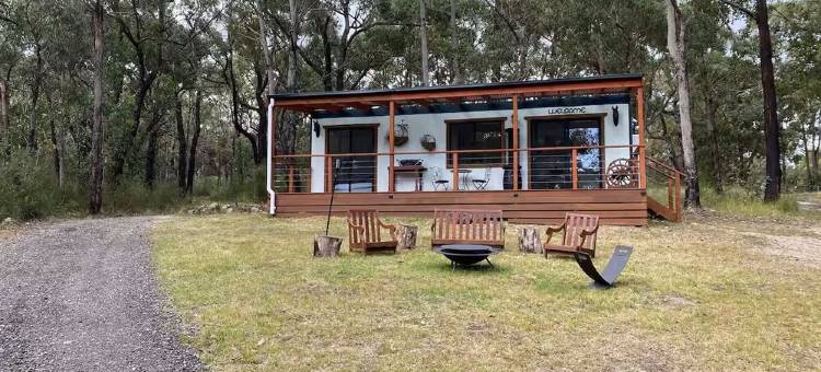离网微型小屋林地隐居(Off grid tiny house bush escape)图片