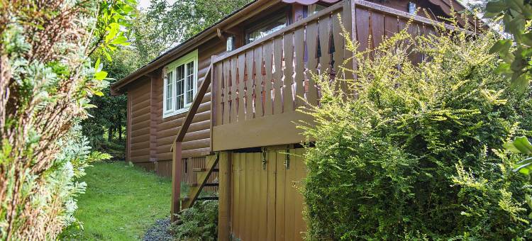 Log Cabin in Snowdonia near Rhinog Mountains图片