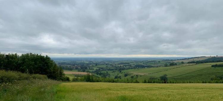 Glamping Pod in Yorkshire Wolds Countryside图片