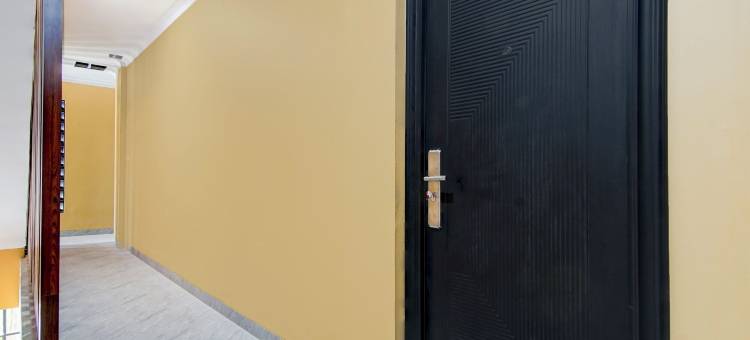 Collection O 94762 星光(Collection O 94762 Starlight)图片