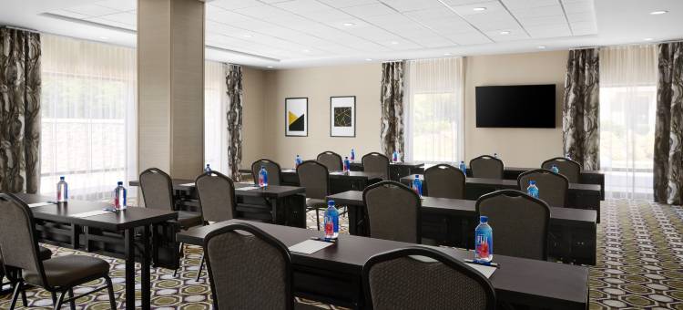 夏洛特斯蒂勒溪希尔顿欢朋套房酒店(Hampton Inn & Suites Charlotte Steele Creek)图片