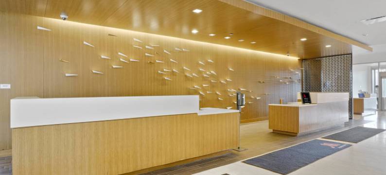 芝加哥内珀维尔万豪酒店(Chicago Marriott Naperville)图片