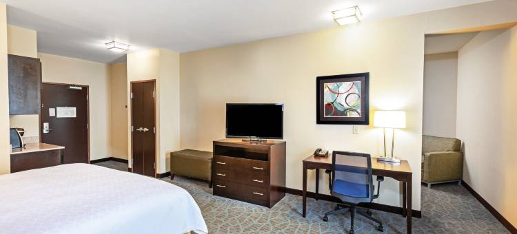 弗洛里斯维尔智选假日套房酒店(Holiday Inn Express & Suites Floresville)图片