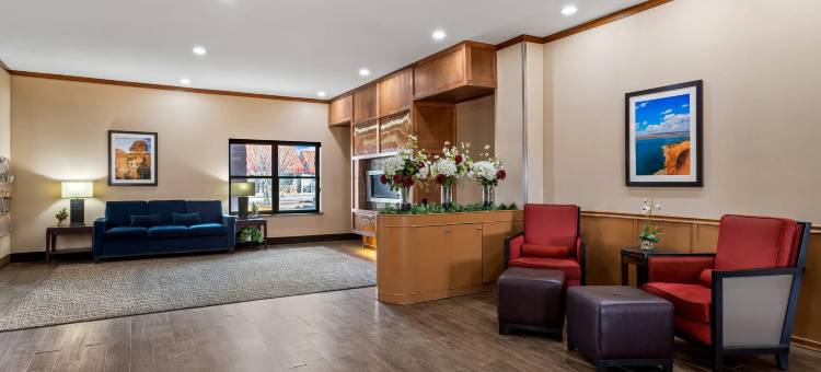 舒适套房酒店(Comfort Suites)图片