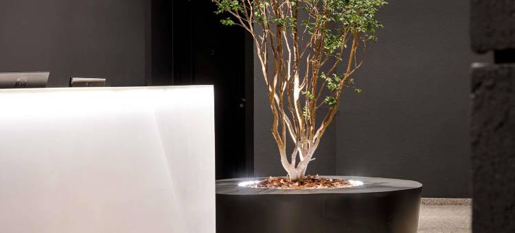 贝洛奥里藏特塞拉别墅美居酒店(Mercure Belo Horizonte Vila da Serra)图片