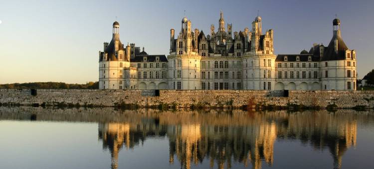 奥尔良中心美居酒店(Hôtel Mercure Orléans Centre Bords de Loire)图片