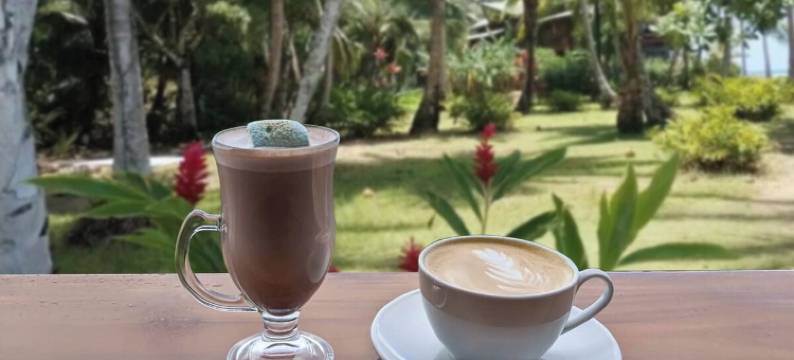 卡耶6号酒店(Hotel Calle 6)图片