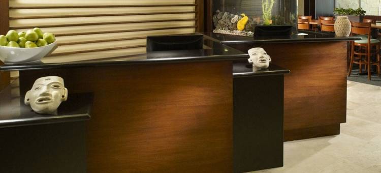 Fairfield by Marriott Los Cabos图片