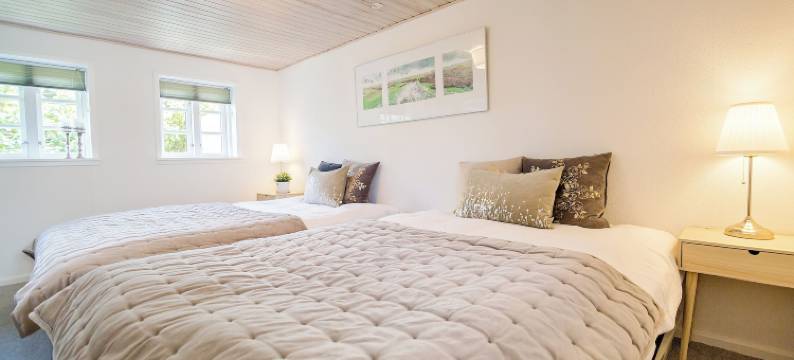 菲迪特海滩度假村(Feddet Strand Resort)图片