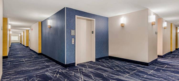 克莱门森舒适套房酒店-大学区(Comfort Inn & Suites Clemson - University Area)图片