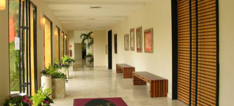 泰拉诺瓦酒店(Hotel Terranova)图片