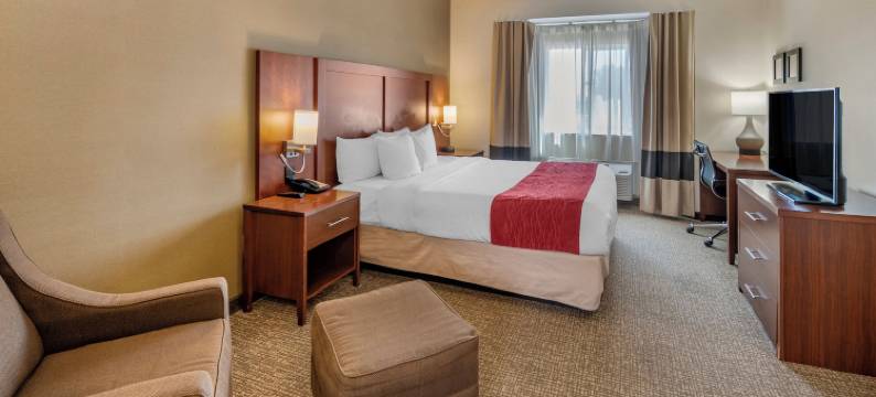 中庭酒店(The Atrium Hotel - SFO Airport Free! - Shuttle Bus - Parking - Wifi)图片