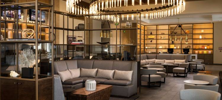 达拉斯弗赖拉辛站希尔顿嘉悦里酒店(Canopy by Hilton Dallas Frisco Station)图片