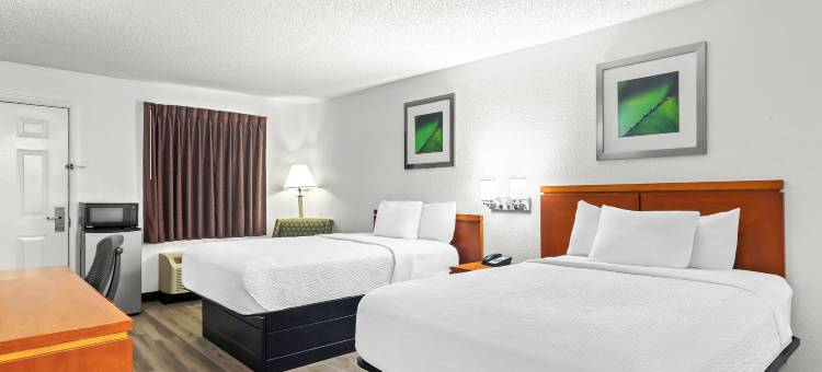 民宿旅馆及套房(Homestay Inn & Suites)图片